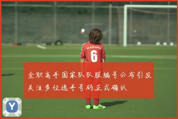 全职高手国家队队服编号公布引发关注多位选手号码正式确认