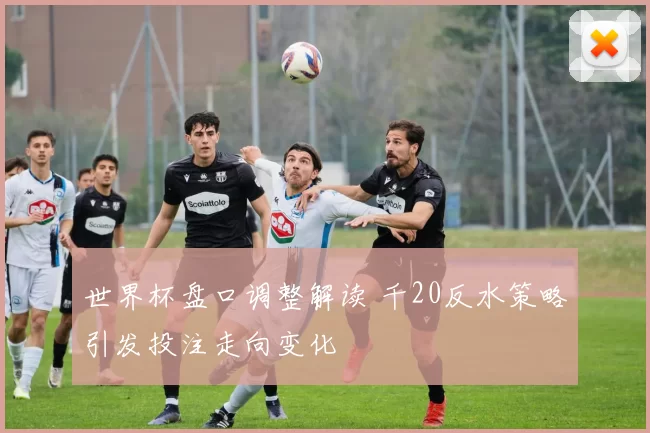 世界杯盘口调整解读 千20反水策略引发投注走向变化